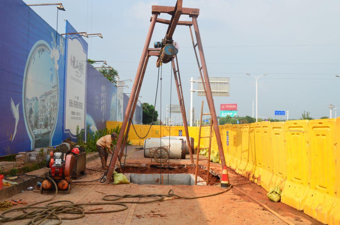 龍山湖苑最新動態揭秘,巷弄深處的獨特小店等你來探索!