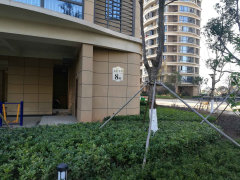 溫州金海首府最新動態及相關論述揭秘