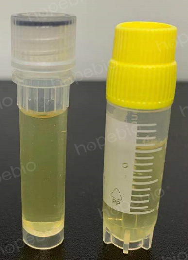 科技重塑生命之源,最新型液體菌種培養器開啟培育新紀元