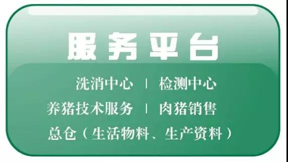 貴港揚翔最新招聘信息,探尋職業發展的理想舞臺,等你來挑戰!