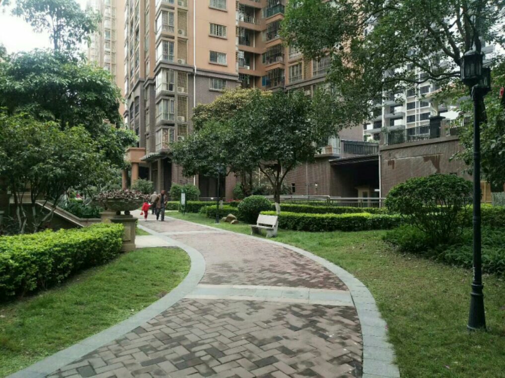 清遠中恒公園最新房價揭秘,小巷深處的意外發現